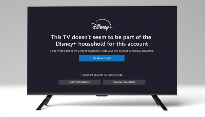 Disney+ UPDATE HOUSEHOLD