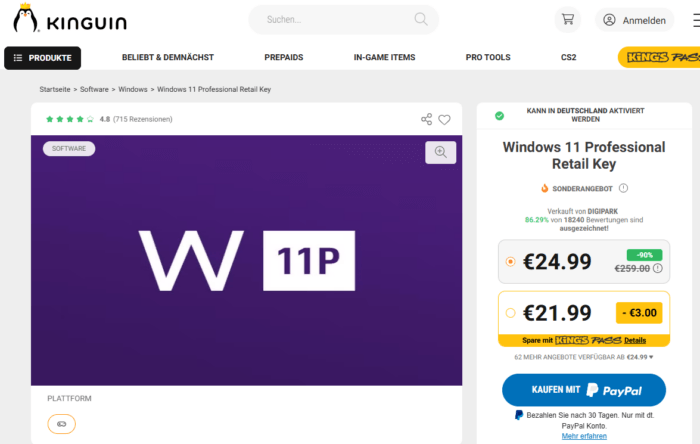 Windows 11 Professional Retail Key günstig